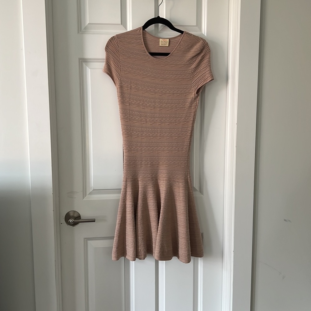 Torn by Ronny Kobo Knit Dress